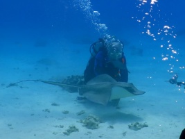 072 Bob at Stingray City IMG 6009